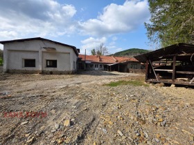 ����� ������� �����,�. ���������, ������ �����>