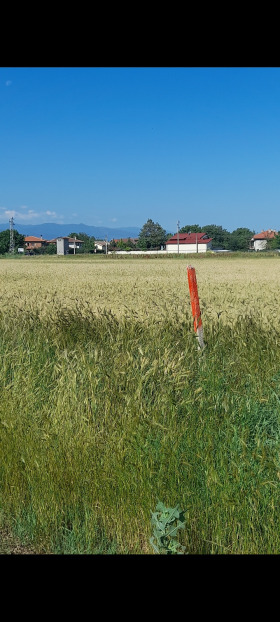 Cselekmény Zlatitrap, régió Plovdiv 7