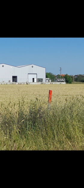 Cselekmény Zlatitrap, régió Plovdiv 6