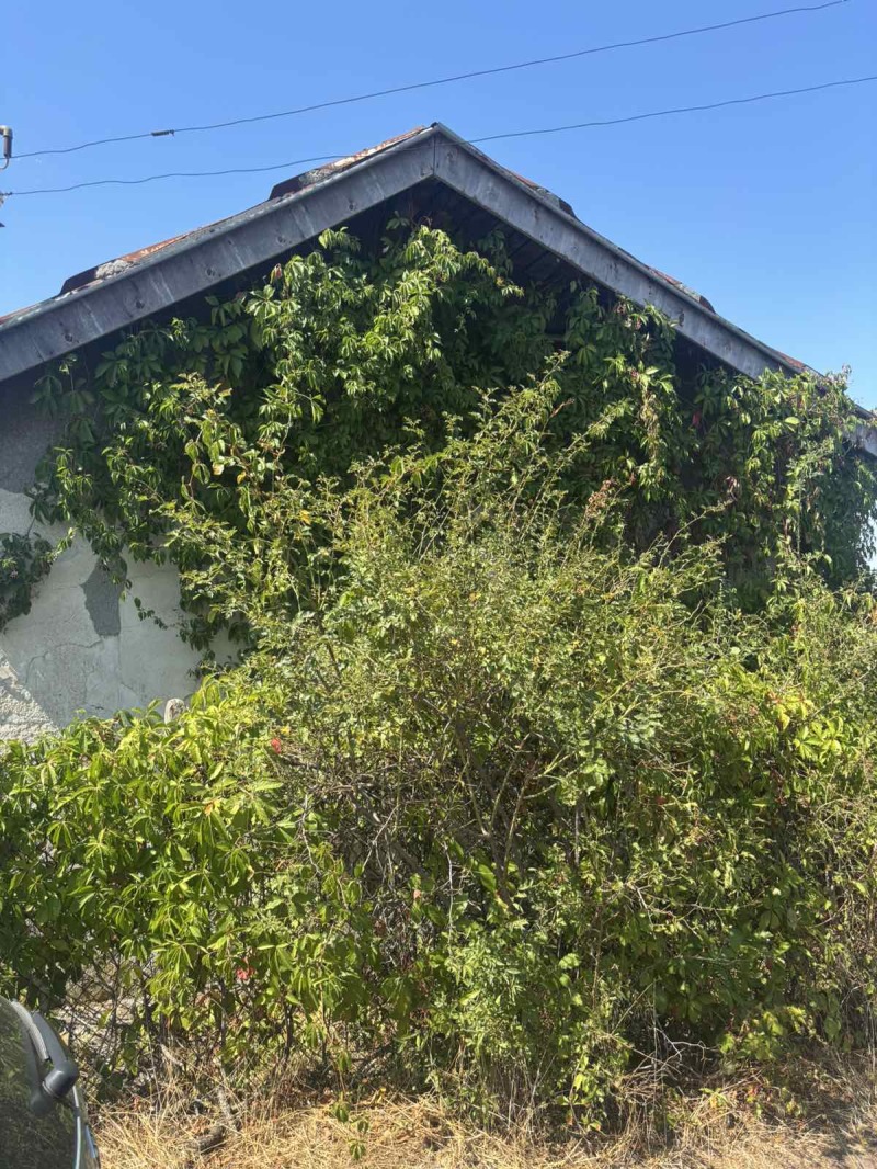 Zu verkaufen  Villa Burgas , Banewo , 30 qm | 28529438
