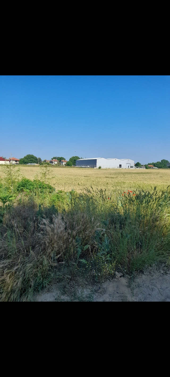 Eladó  Cselekmény régió Plovdiv , Zlatitrap , 742 négyzetméter | 31447095 - kép [4]