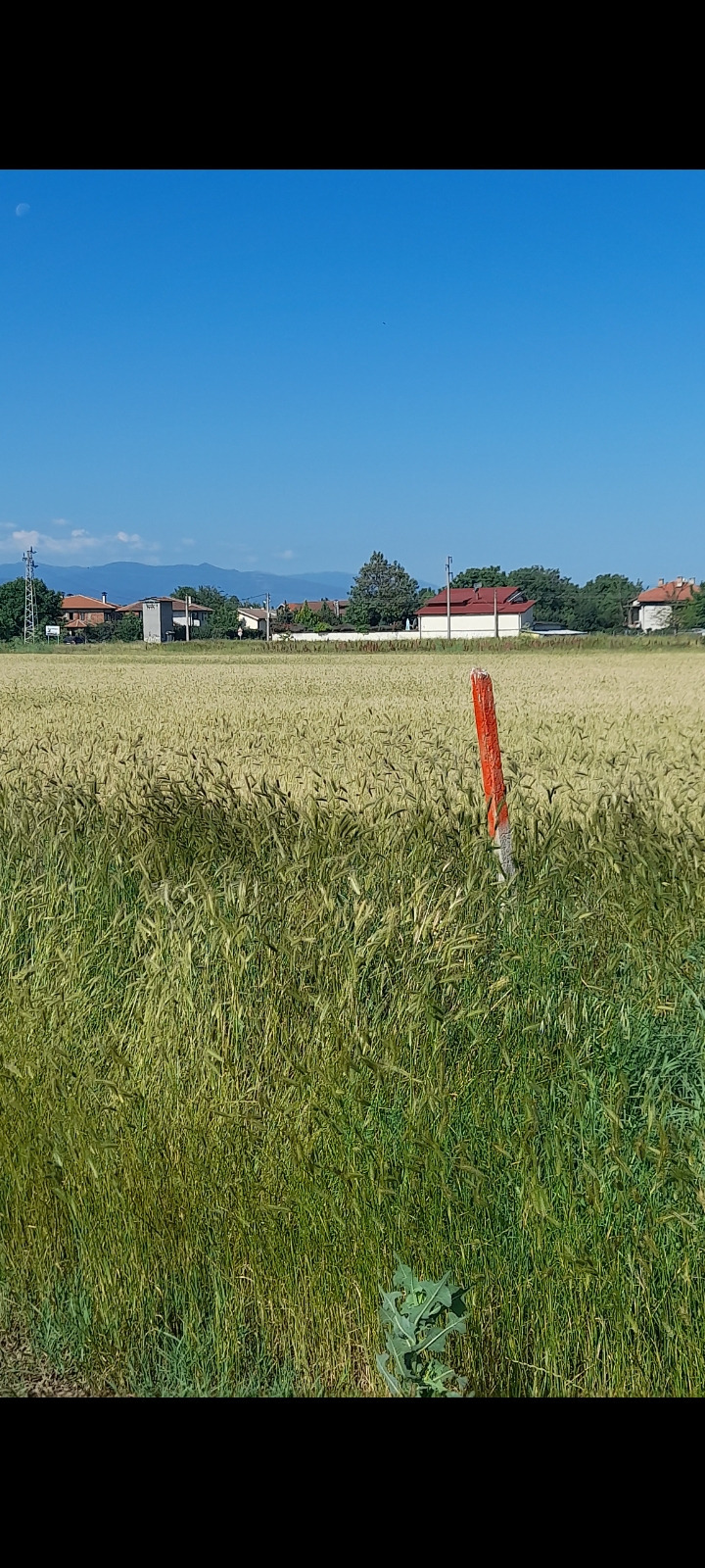 Eladó  Cselekmény régió Plovdiv , Zlatitrap , 742 négyzetméter | 31447095 - kép [7]