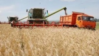 Продава ПАРЦЕЛ, с. Каменар, област Бургас, снимка 3 - Парцели - 53334804