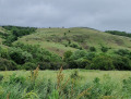 Продава ПАРЦЕЛ, с. Гърло, област Перник, снимка 3