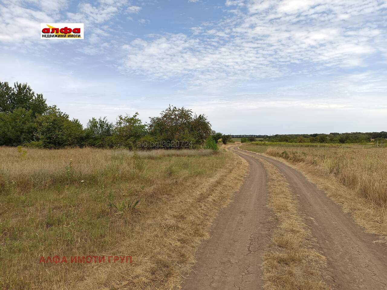 ������� ������ | Imot.bg � ����������� 4