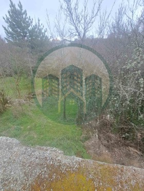 ����� ������� ����,�. ����������, ������ �����