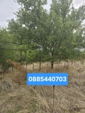 Продава КЪЩА, с. Пряпорец, област Стара Загора, снимка 2