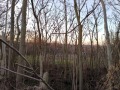 Продава ПАРЦЕЛ, област Варна, с. Червенци • 12000 лв. / 6135.50 € • 86483311 11