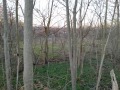 Продава ПАРЦЕЛ, област Варна, с. Червенци • 12000 лв. / 6135.50 € • 86483311 4