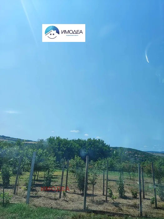 ������� ������ | Imot.bg � ����������� 6