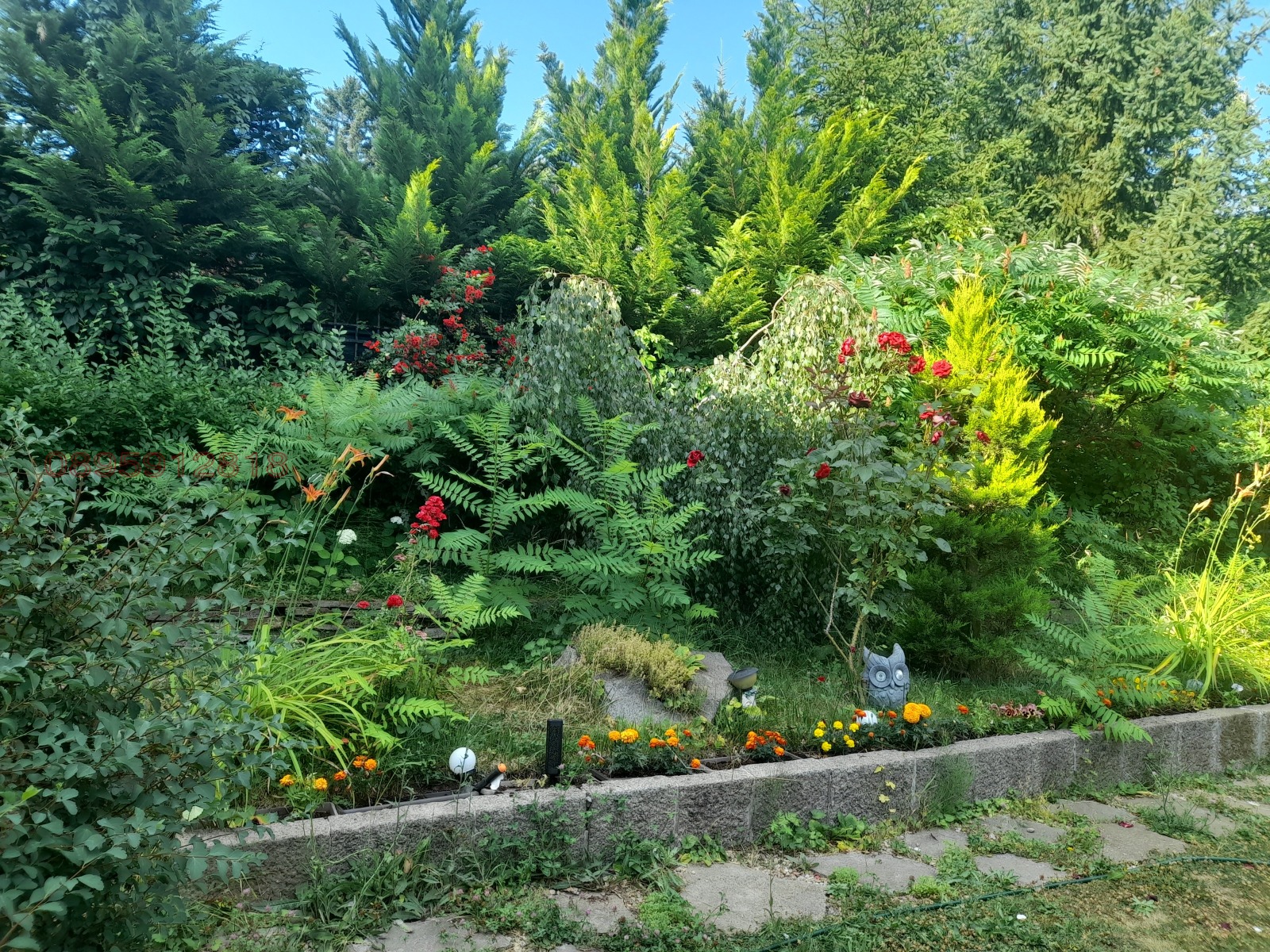 ������� ���� | Imot.bg � ����������� 1