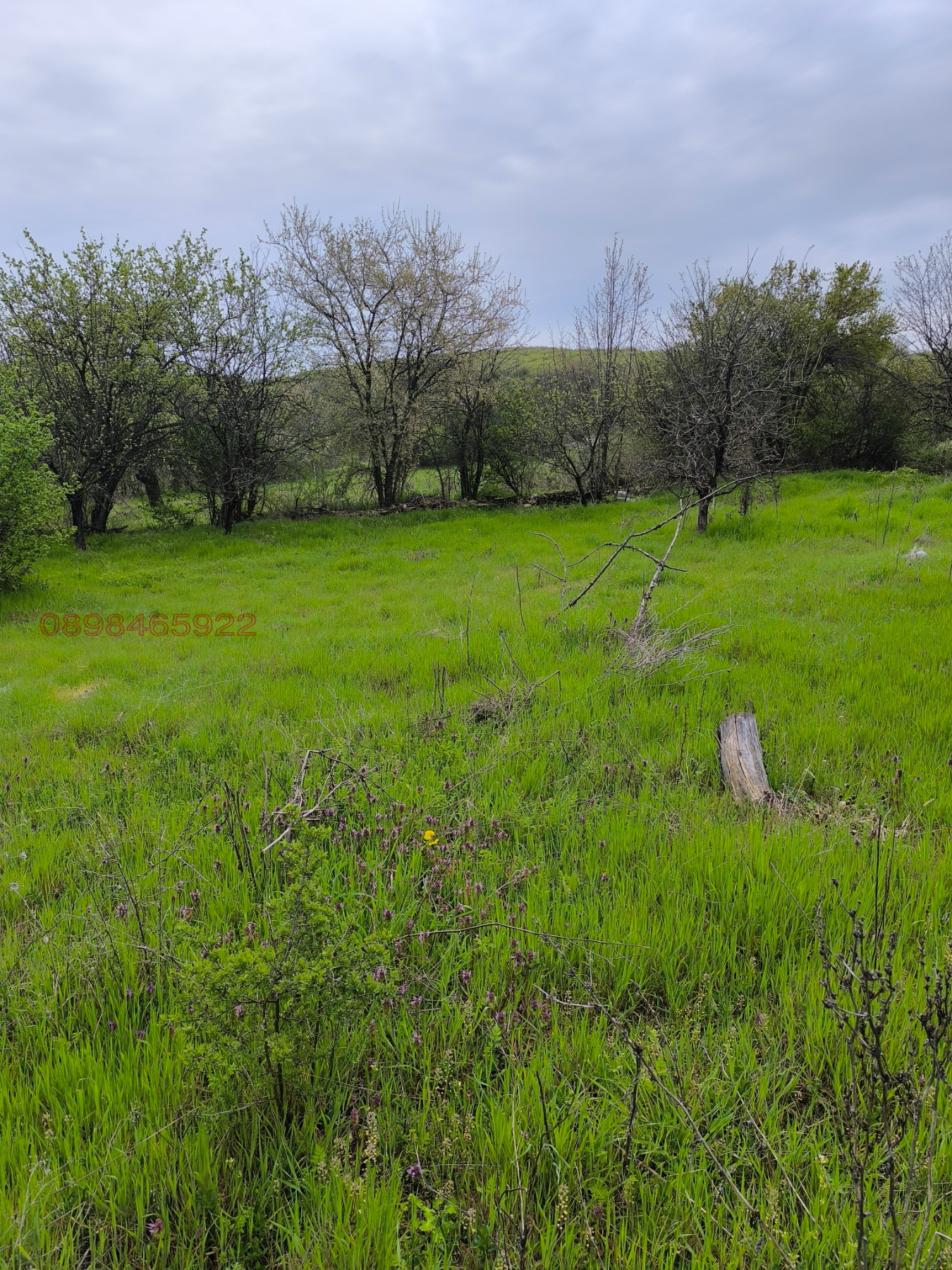 ������� ���� | Imot.bg � ����������� 3