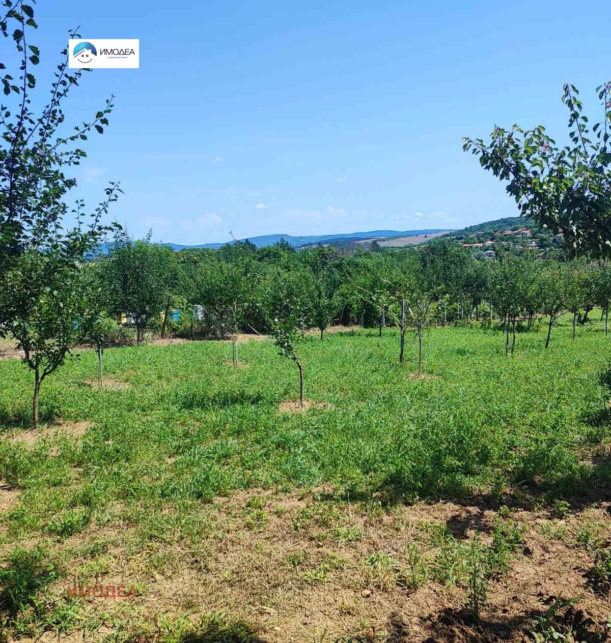 ������� ������ | Imot.bg � ����������� 3