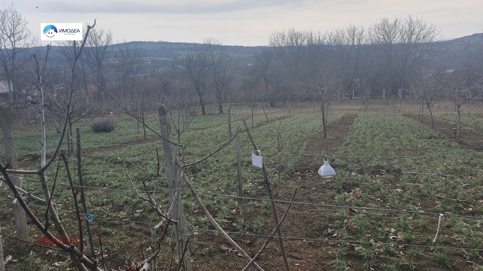 ������� ������ | Imot.bg � ����������� 1