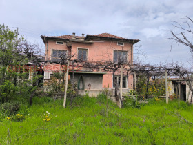 ������ ������� ����