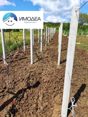 ������� ������ | Imot.bg � ����� ������ 5