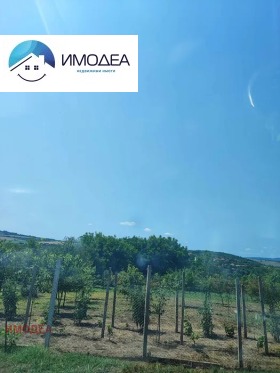 ������� ������ | Imot.bg � ����� ������ 6