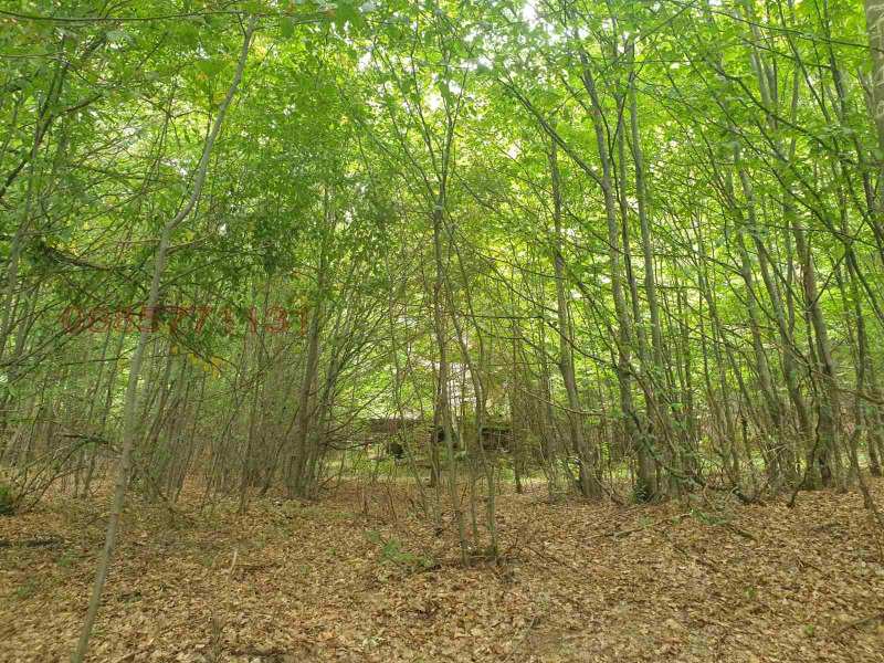 Продава ПАРЦЕЛ, с. Лесковдол, област София област, снимка 2 - Парцели - 53397464