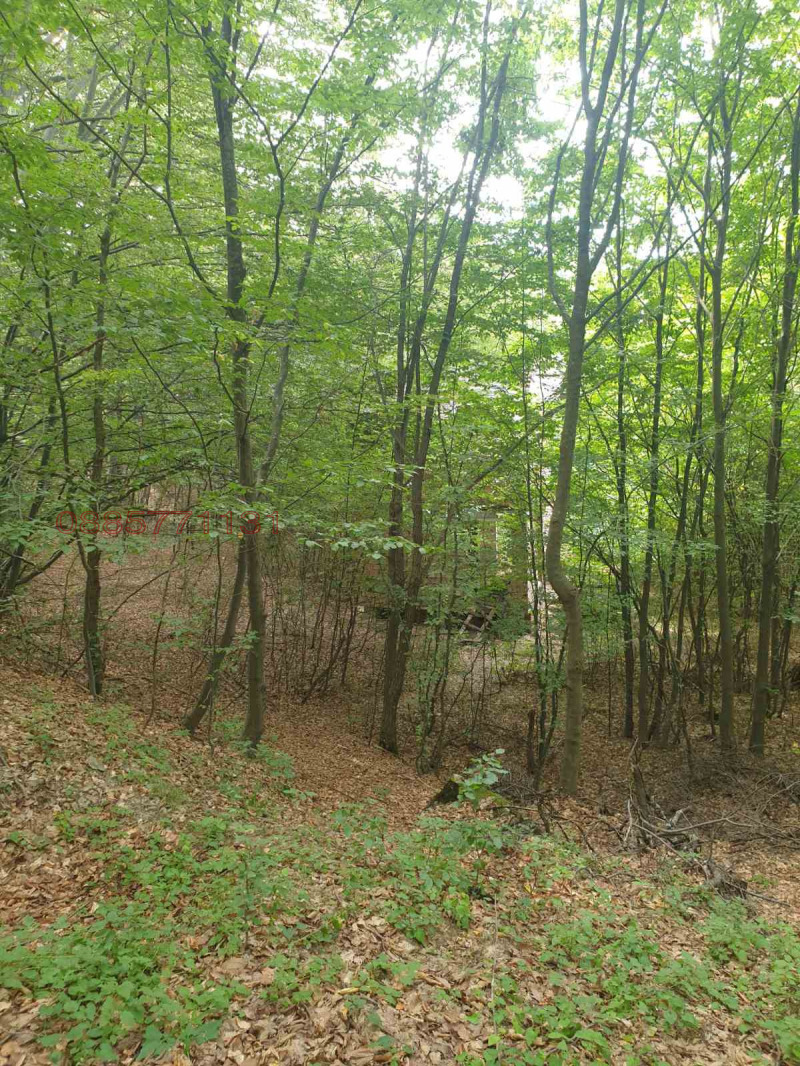 Продава ПАРЦЕЛ, с. Лесковдол, област София област, снимка 4 - Парцели - 53397464