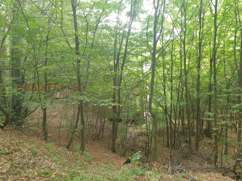 Продава ПАРЦЕЛ, с. Лесковдол, област София област, снимка 3 - Парцели - 53397464