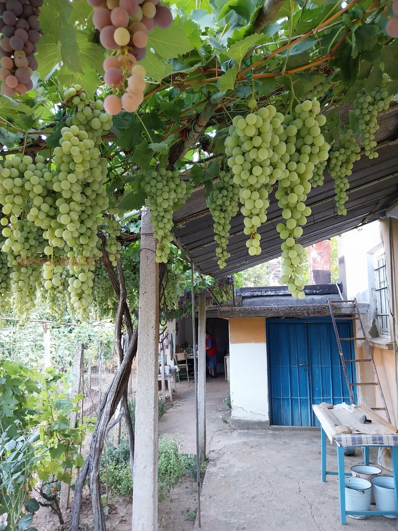 Продава КЪЩА, с. Дъбова махала, област Монтана, снимка 2 - Къщи - 54978918