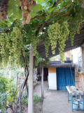 Продава КЪЩА, с. Дъбова махала, област Монтана, снимка 2