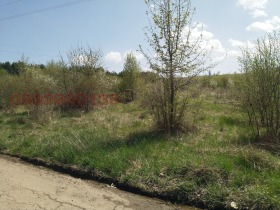 Cselekmény Teva, Pernik 2