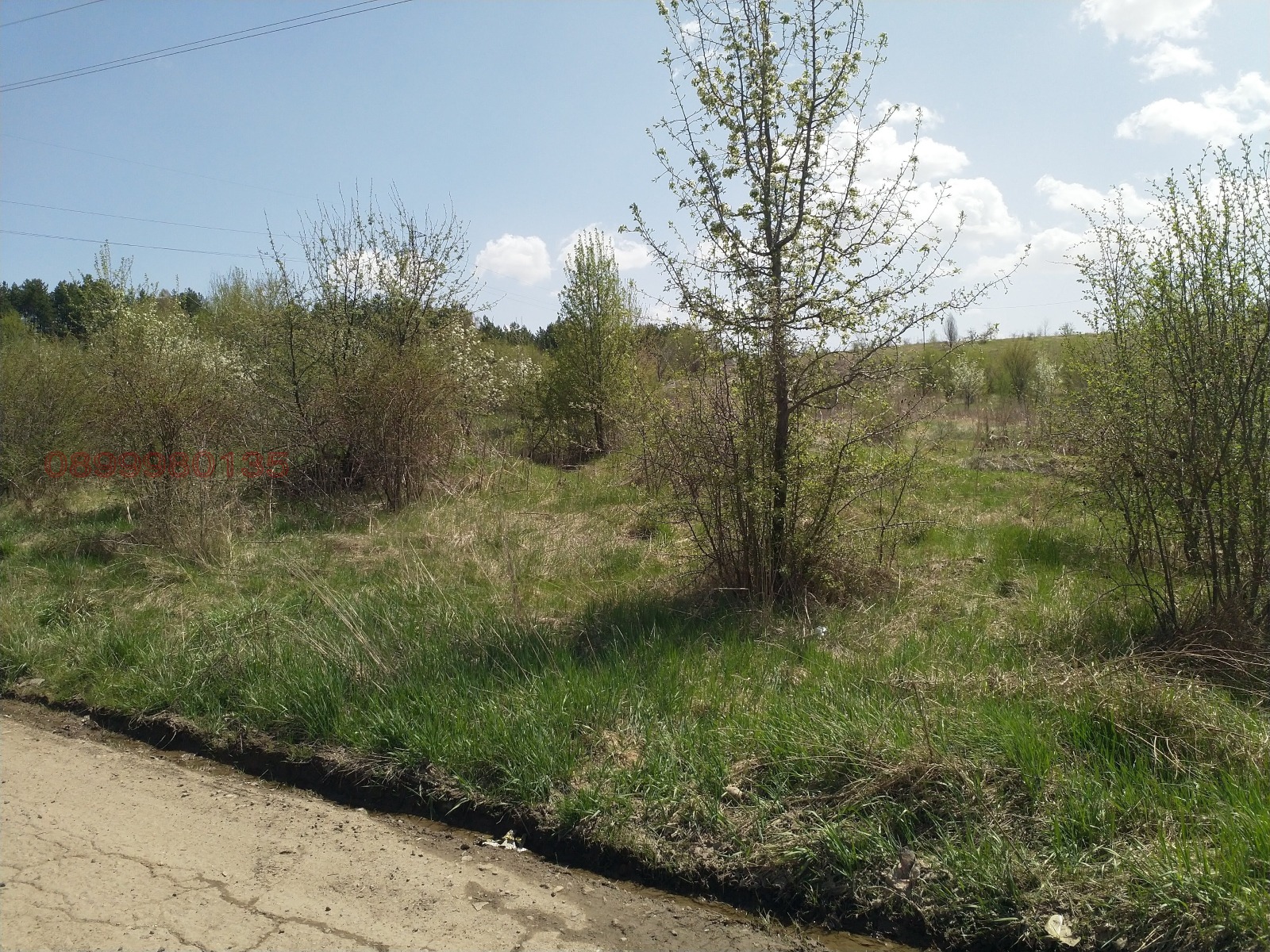 Продава ПАРЦЕЛ, гр. Перник, Тева, снимка 2 - Парцели - 56341670