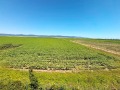 Продава 1-СТАЕН, к.к. Слънчев бряг, област Бургас, снимка 7