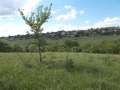 Продава ПАРЦЕЛ, област Велико Търново, с. Беляковец • 58710 € • 30893406 — Holmes.bg