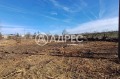Продава ПАРЦЕЛ, с. Червенци, област Варна, снимка 2