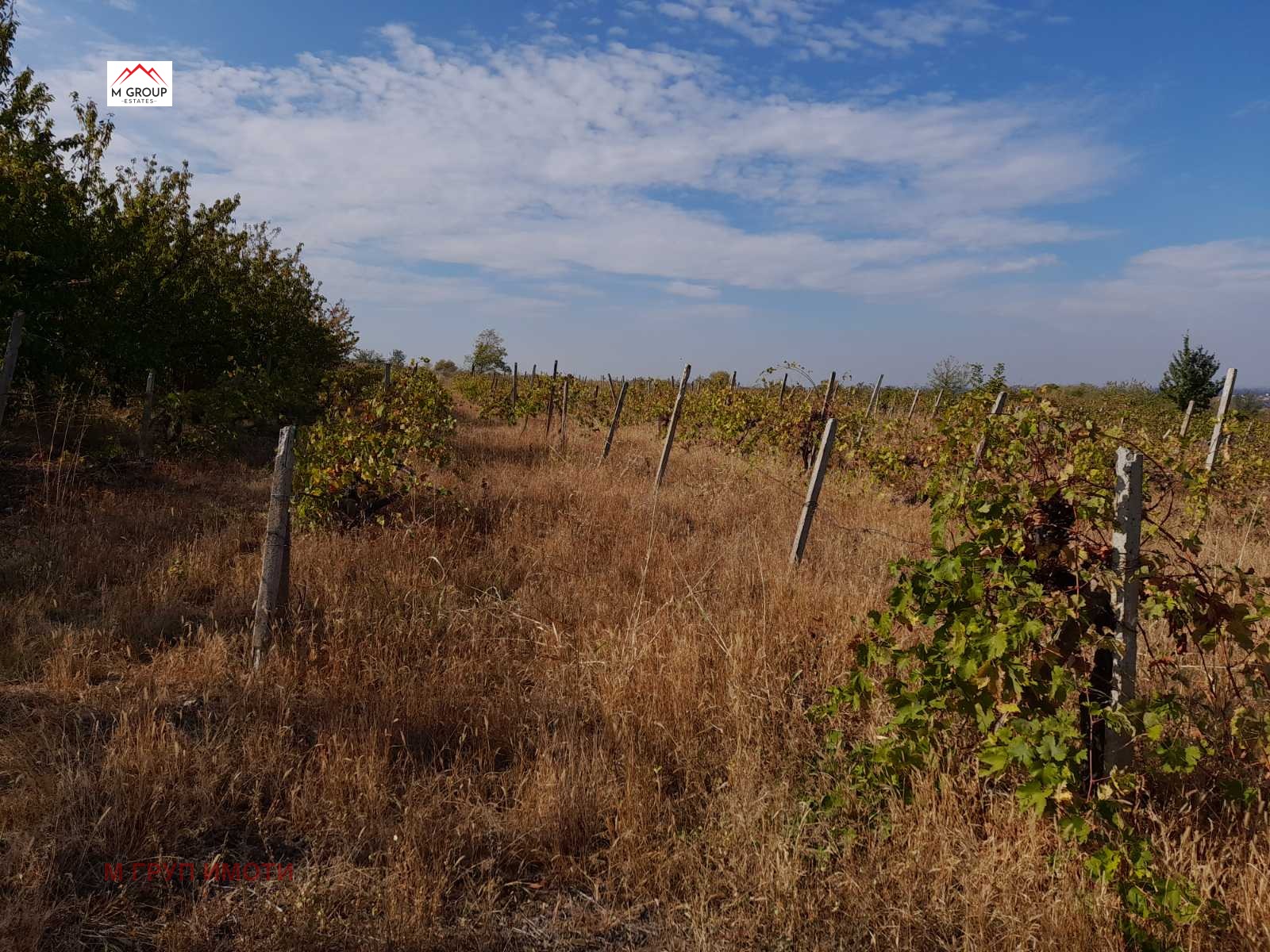 ������� ������ | Imot.bg � ����������� 2