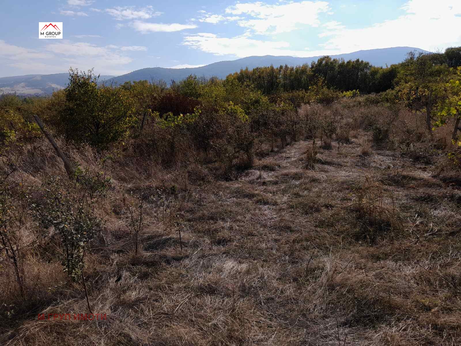 ������� ������ | Imot.bg � ����������� 7