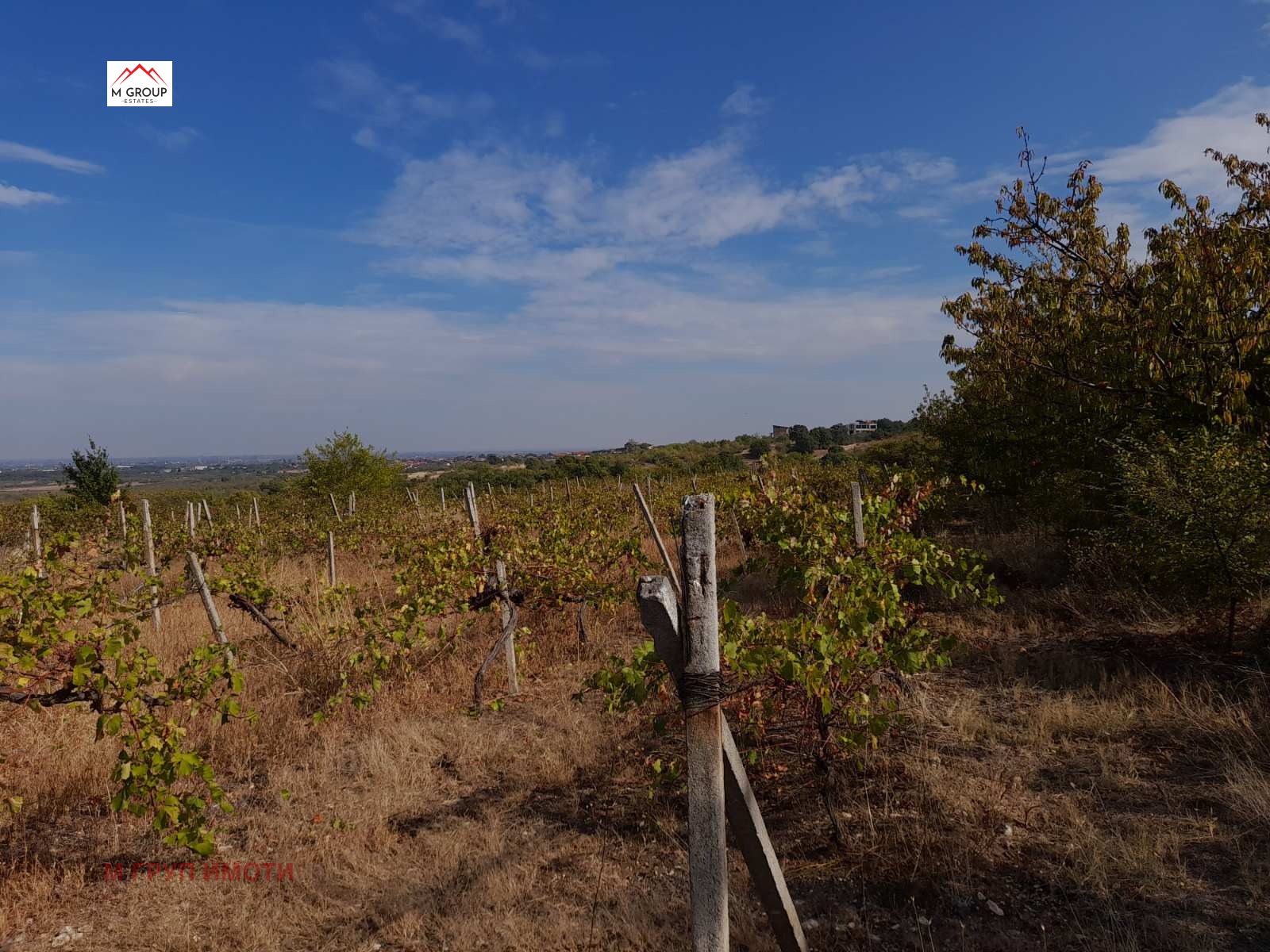 ������� ������ | Imot.bg � ����������� 5