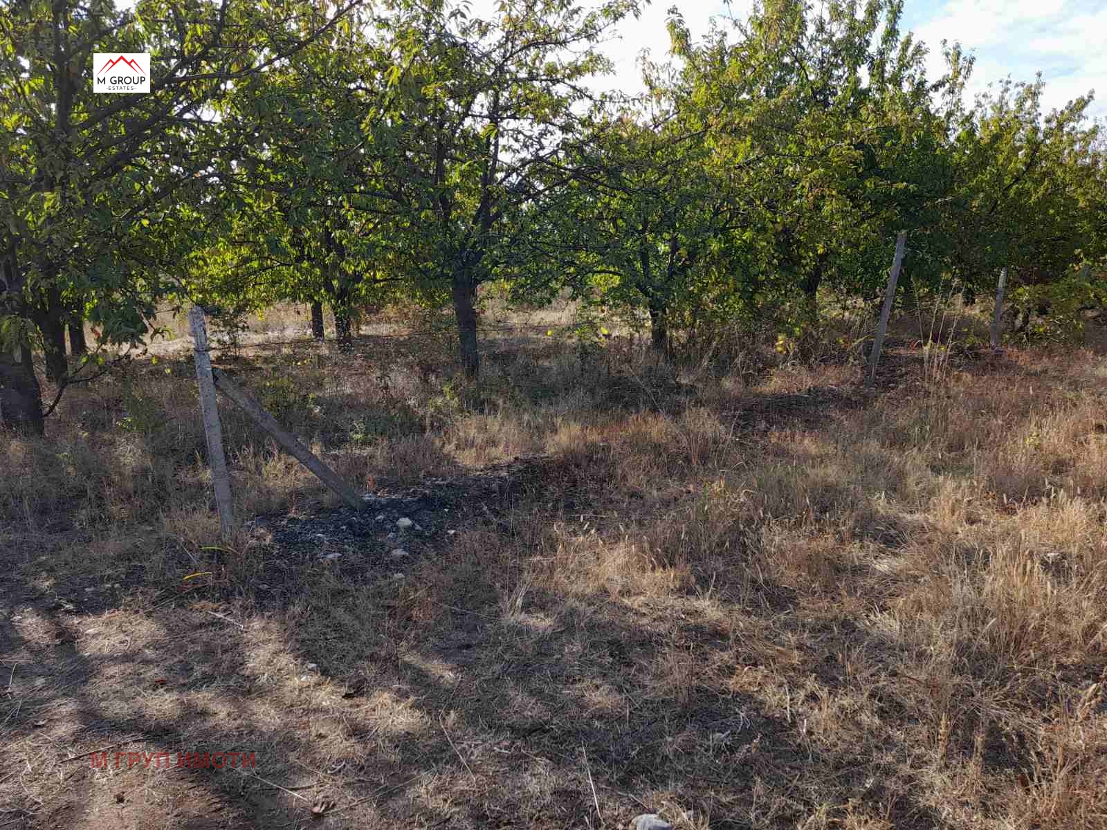 ������� ������ | Imot.bg � ����������� 3