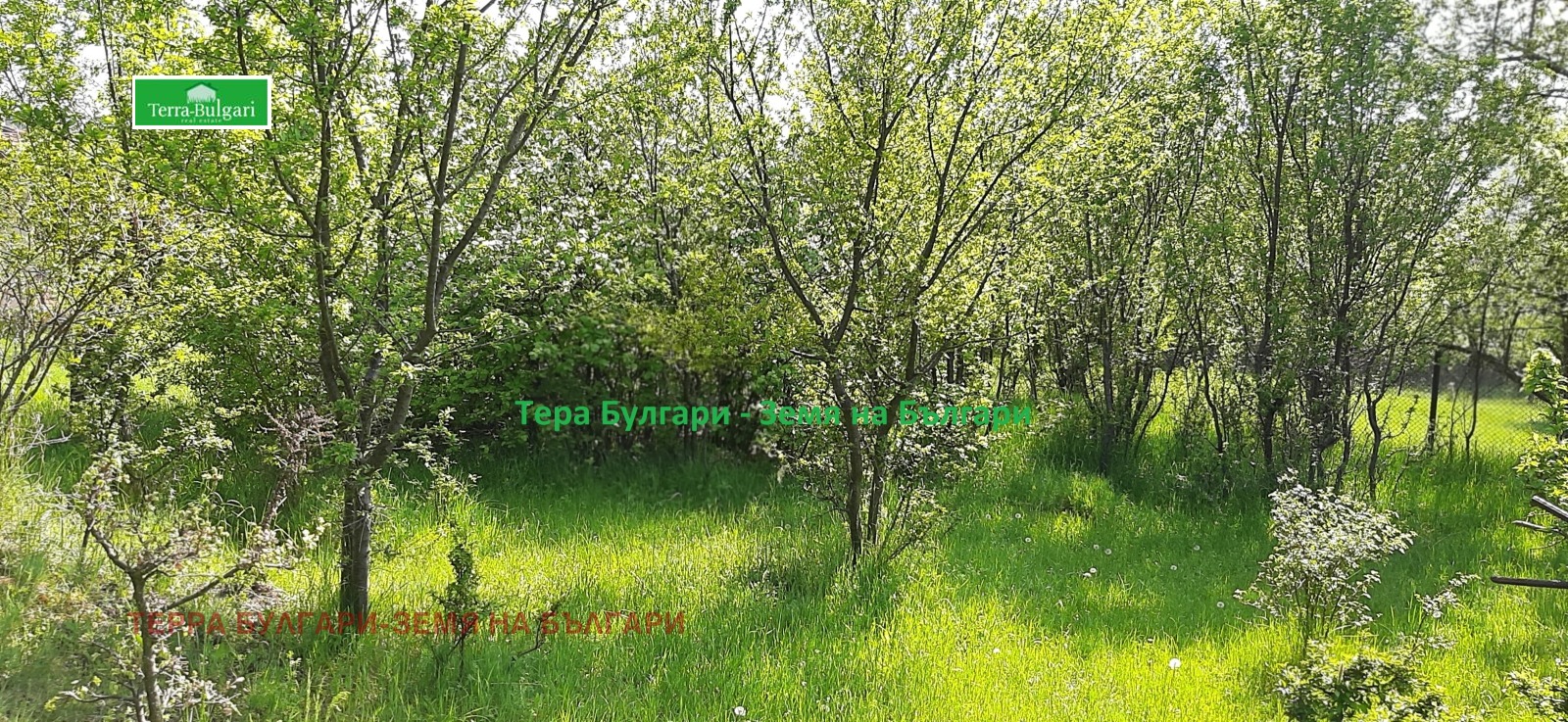 ������� ������ | Imot.bg � ����������� 9