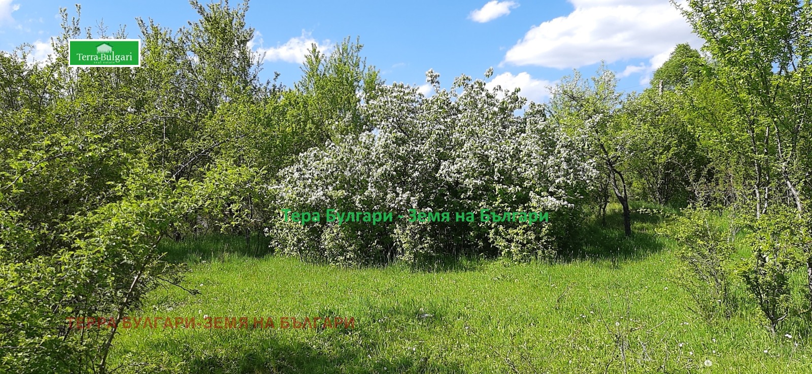 ������� ������ | Imot.bg � ����������� 14