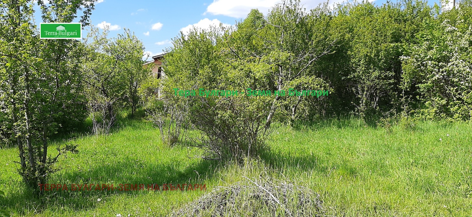 ������� ������ | Imot.bg � ����������� 13