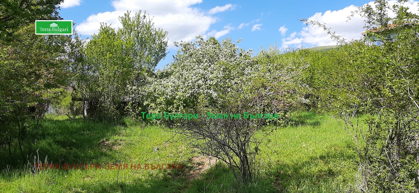 ������� ������ | Imot.bg � ����������� 15