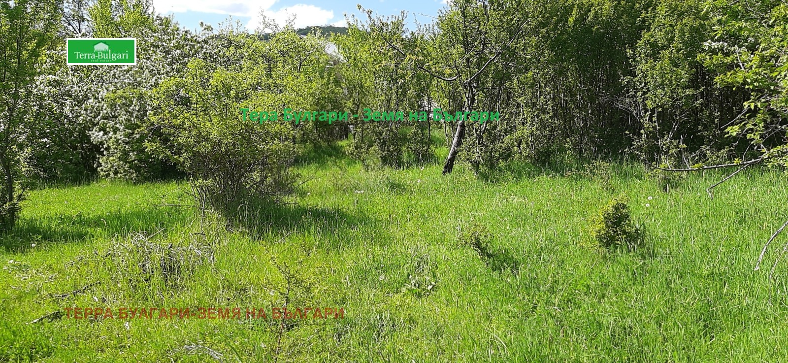 ������� ������ | Imot.bg � ����������� 11