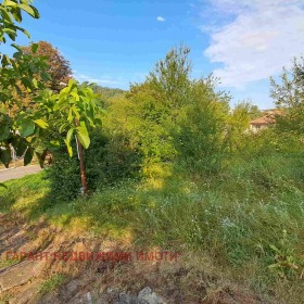 Plot Borovo, Gabrovo 1