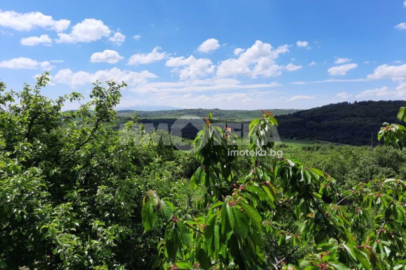 Продава КЪЩА, с. Дреново, област София област, снимка 12 - Къщи - 47978411