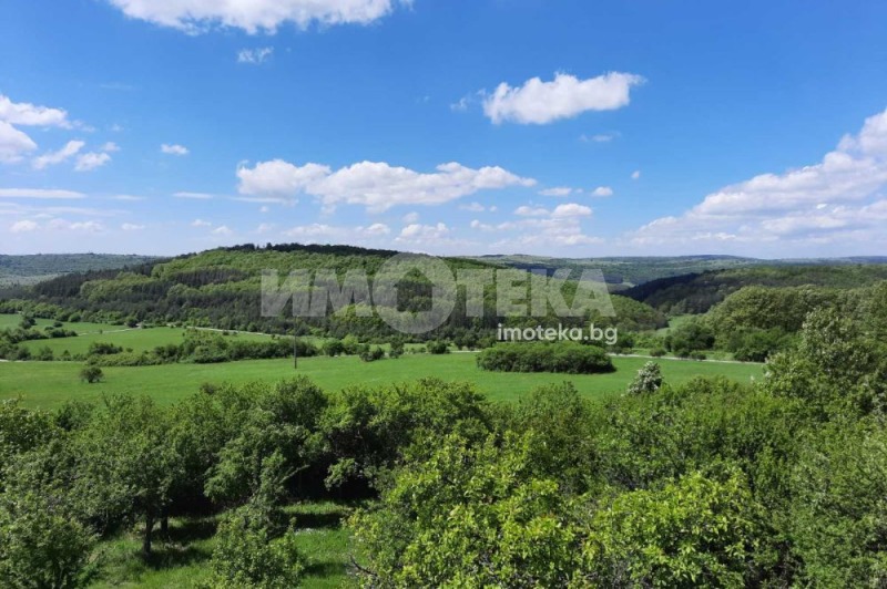 Продава КЪЩА, с. Дреново, област София област, снимка 2 - Къщи - 47978411