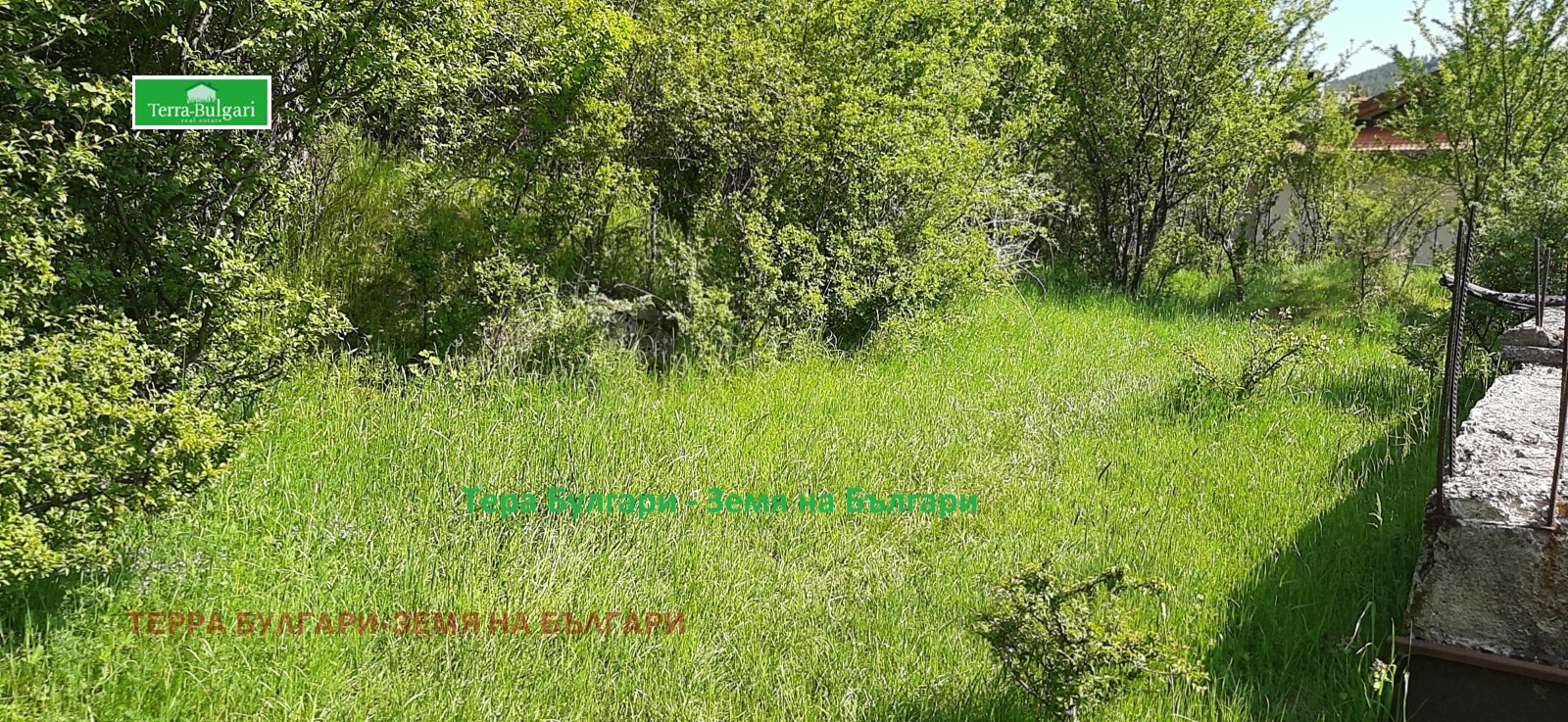 Продава ПАРЦЕЛ, с. Боснек, област Перник, снимка 5 - Парцели - 53759278