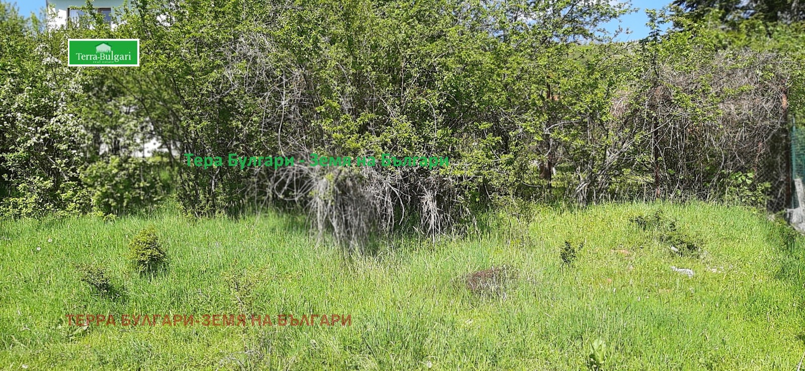 Продава ПАРЦЕЛ, с. Боснек, област Перник, снимка 12 - Парцели - 53759278