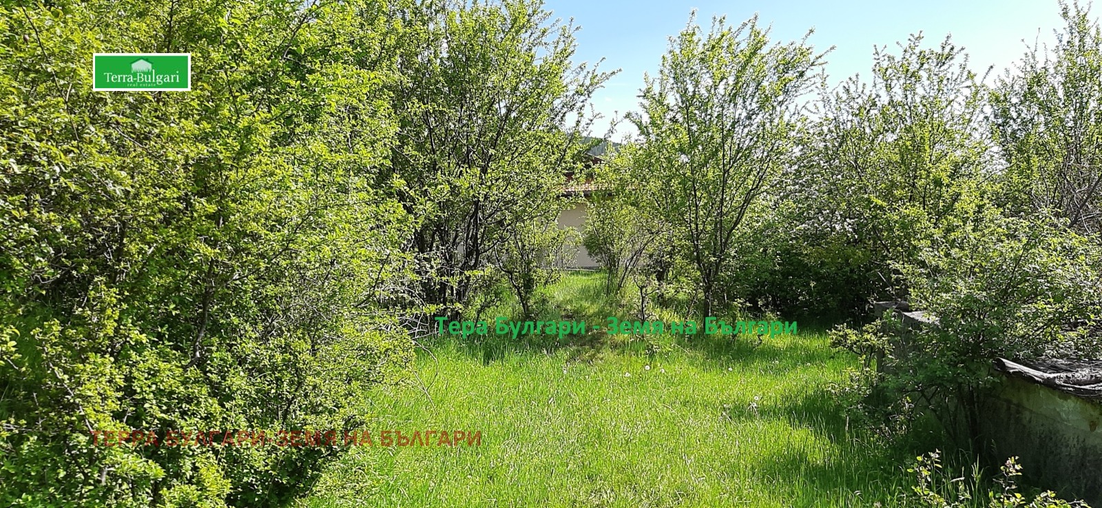 Продава ПАРЦЕЛ, с. Боснек, област Перник, снимка 6 - Парцели - 53759278