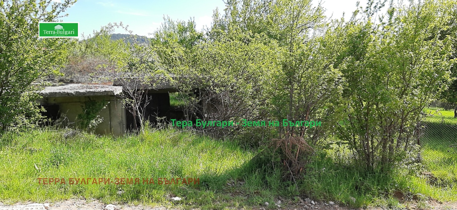 Продава ПАРЦЕЛ, с. Боснек, област Перник, снимка 3 - Парцели - 53759278