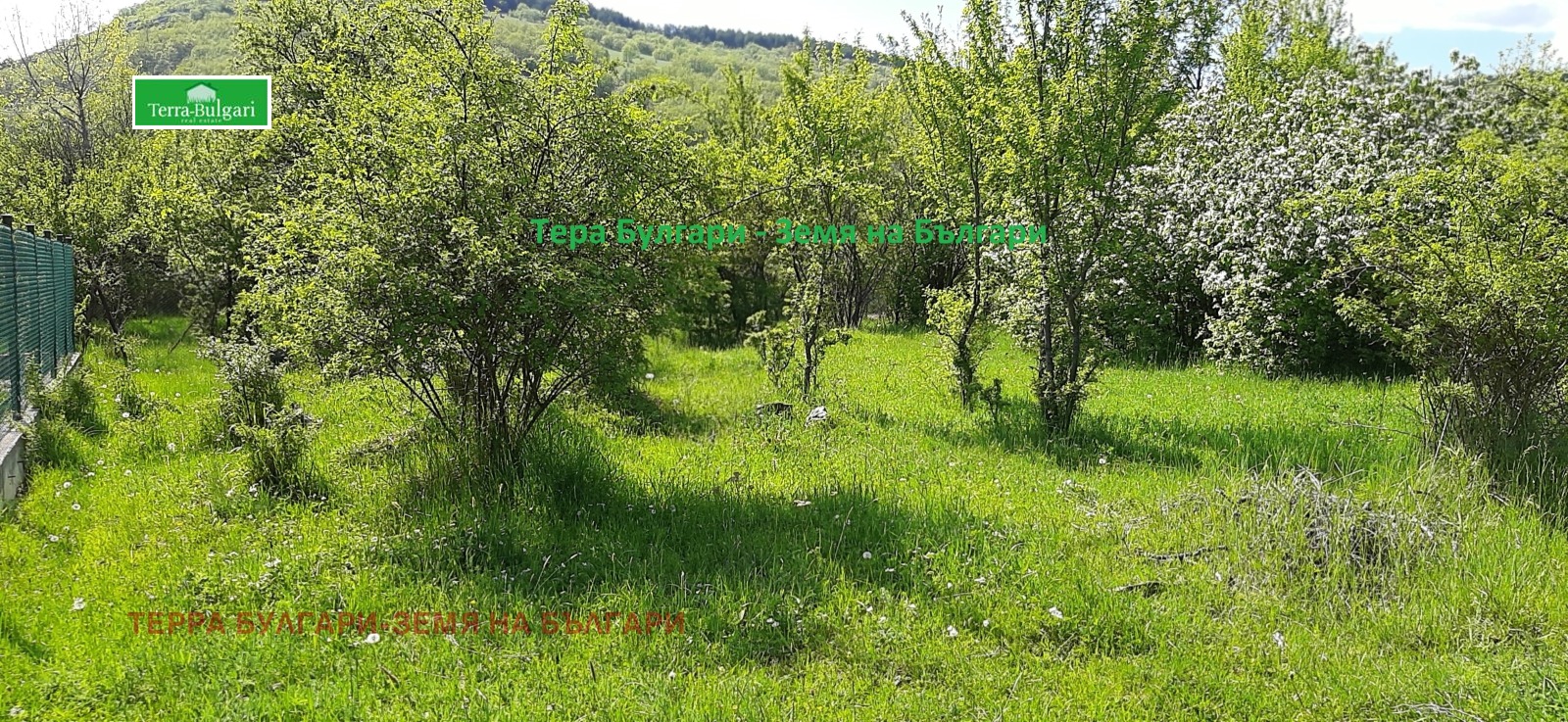 Продава ПАРЦЕЛ, с. Боснек, област Перник, снимка 10 - Парцели - 53759278