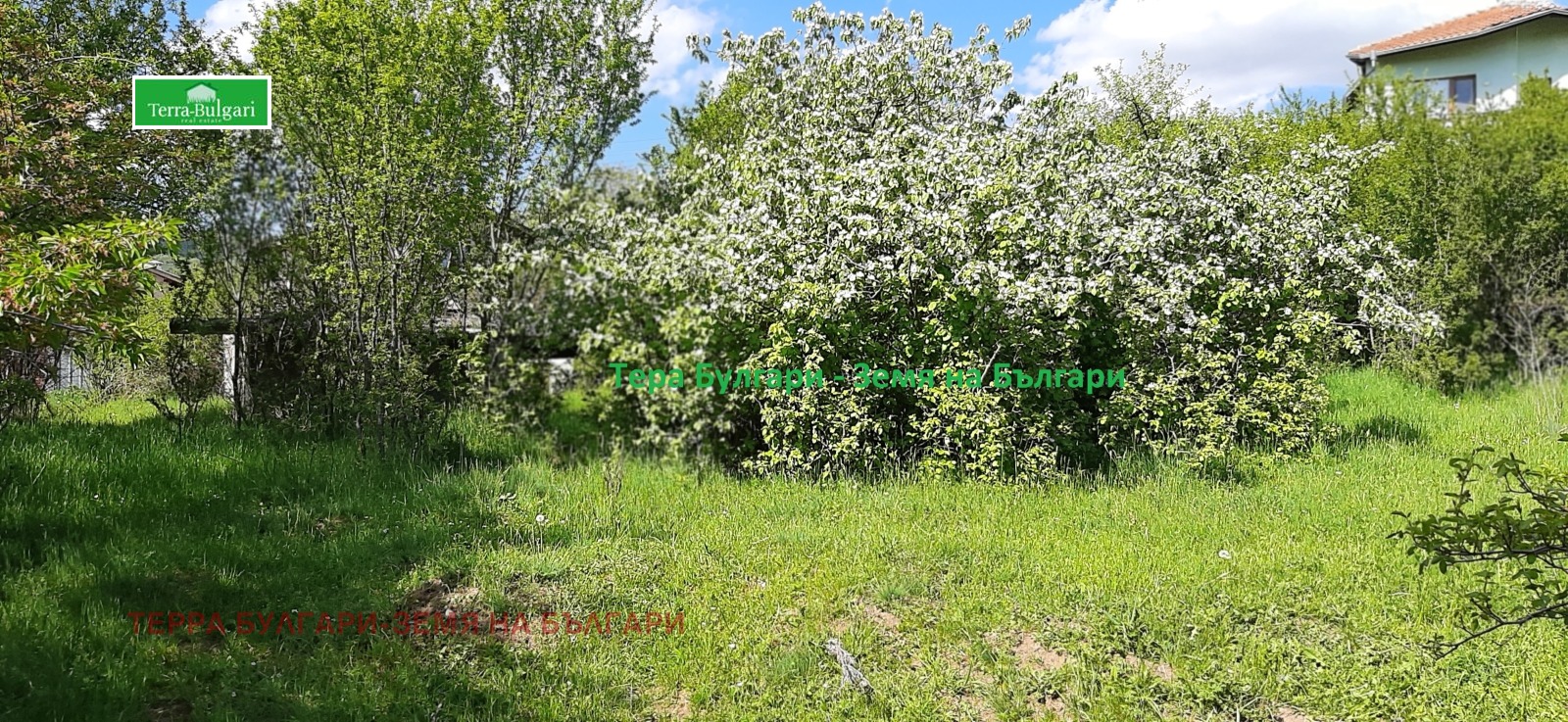 Продава ПАРЦЕЛ, с. Боснек, област Перник, снимка 16 - Парцели - 53759278