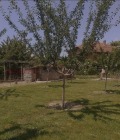Продава КЪЩА, с. Войводиново, област Пловдив, снимка 6